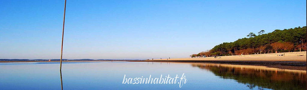 Habitat Bassin d'Arcachon