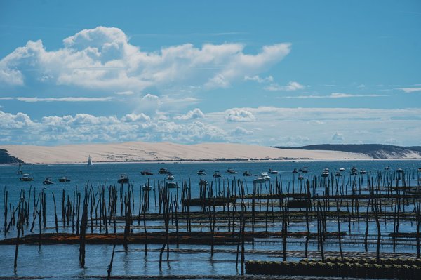 Découvrir la ville du printemps à Arcachon